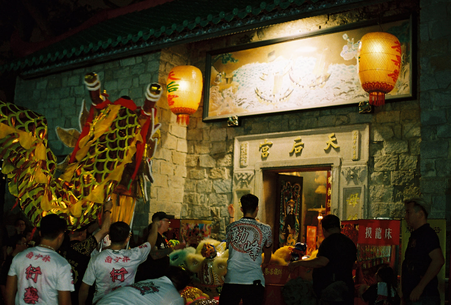 Kodak Portra 800 120 Color Film