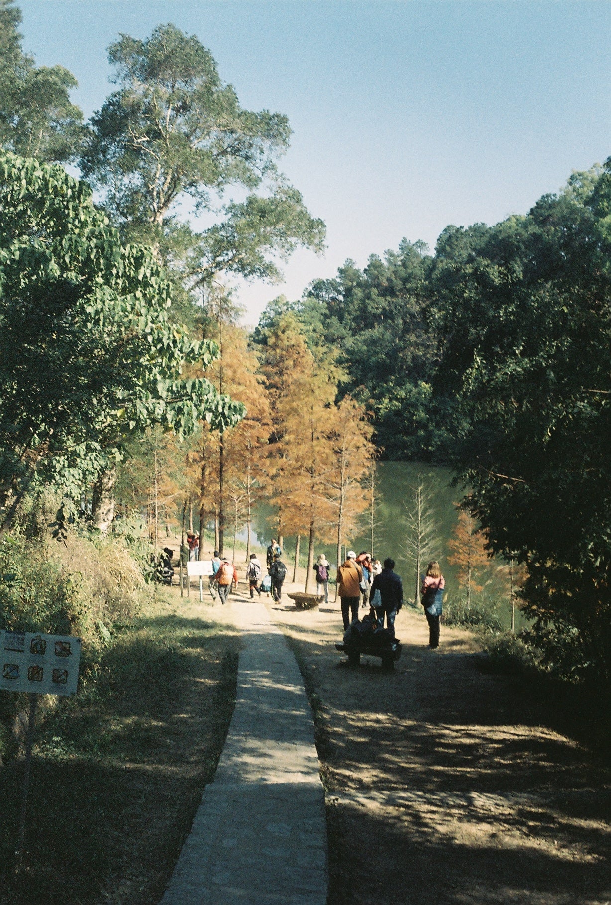 Fujifilm Superia 800 35mm Expired Film