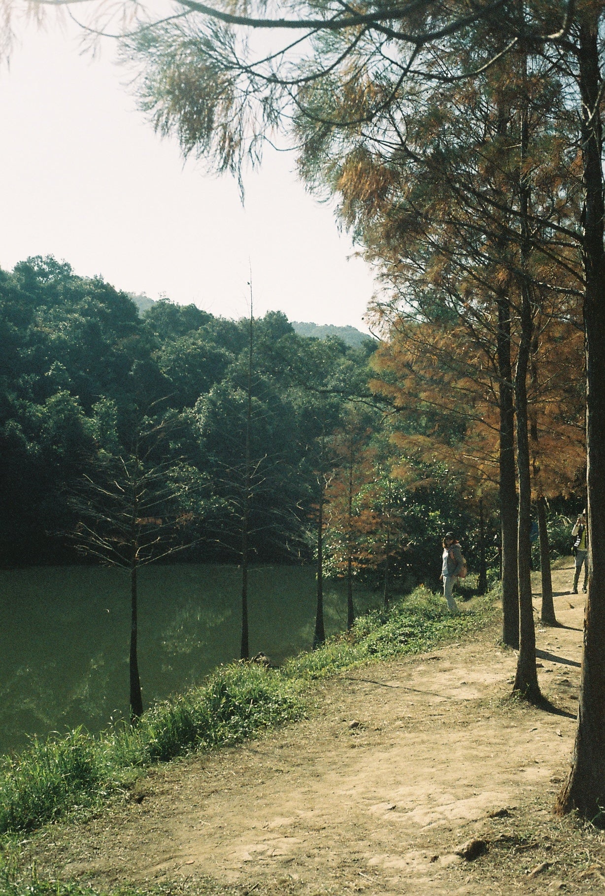 Fujifilm Superia 800 35mm Expired Film