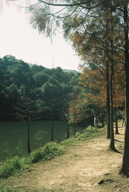 Fujifilm Superia 800 35mm Expired Film