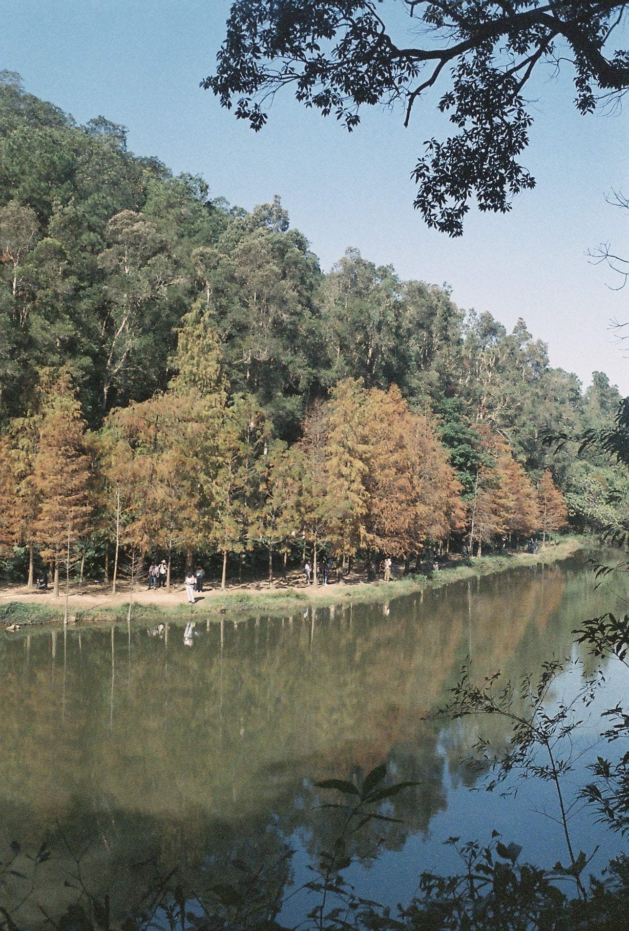 Fujifilm Superia 800 35mm Expired Film
