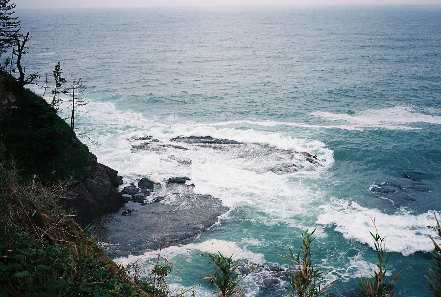 Kodak Ektar 100 35mm 36exp Color Film