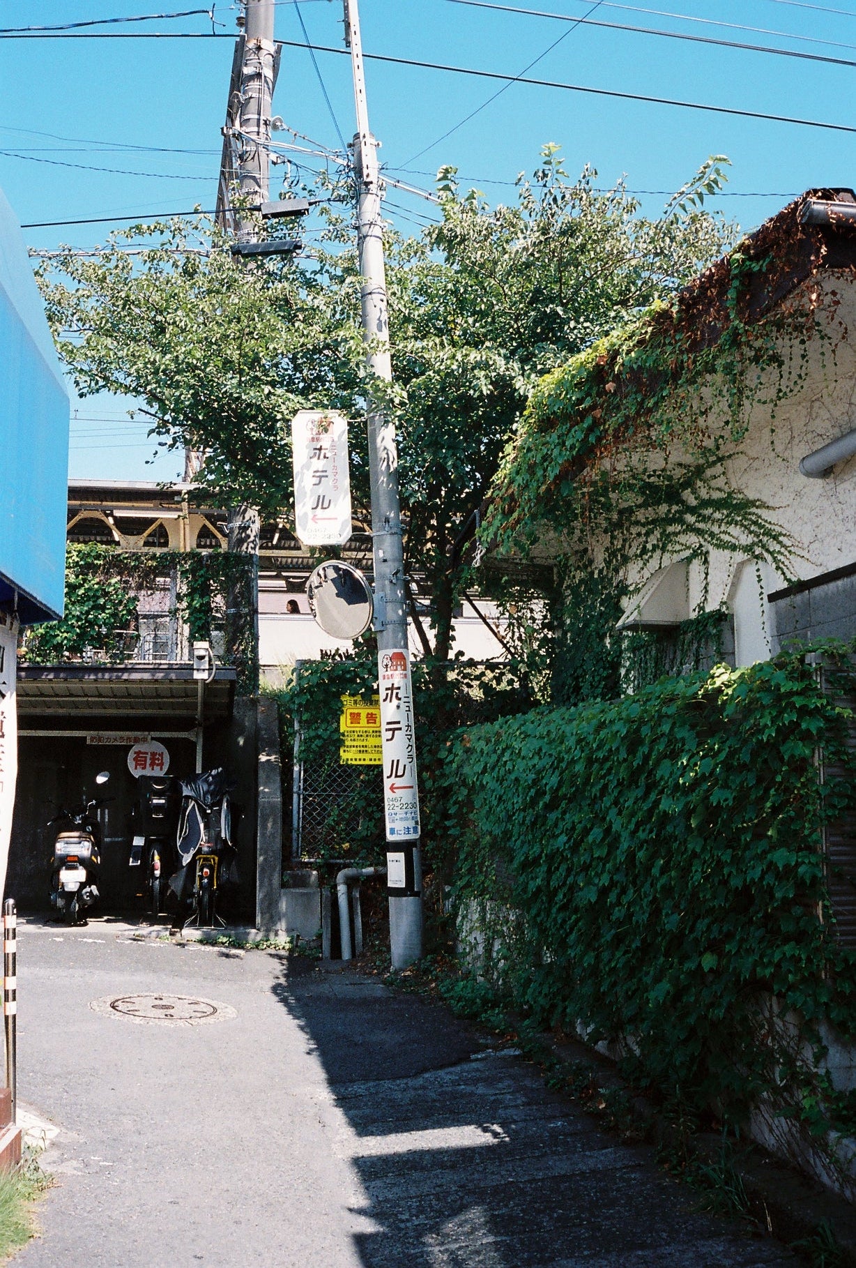 Kodak Portra 400 36exp 35mm Color Film