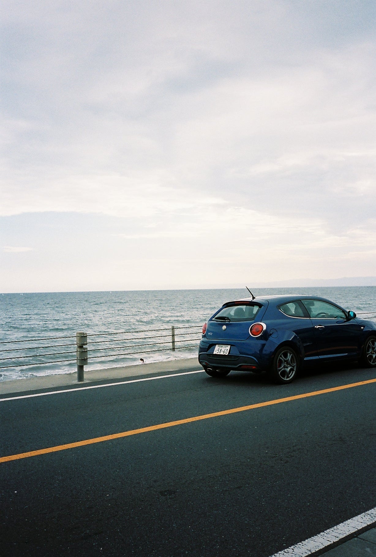 Kodak Portra 400 36exp 35mm Color Film