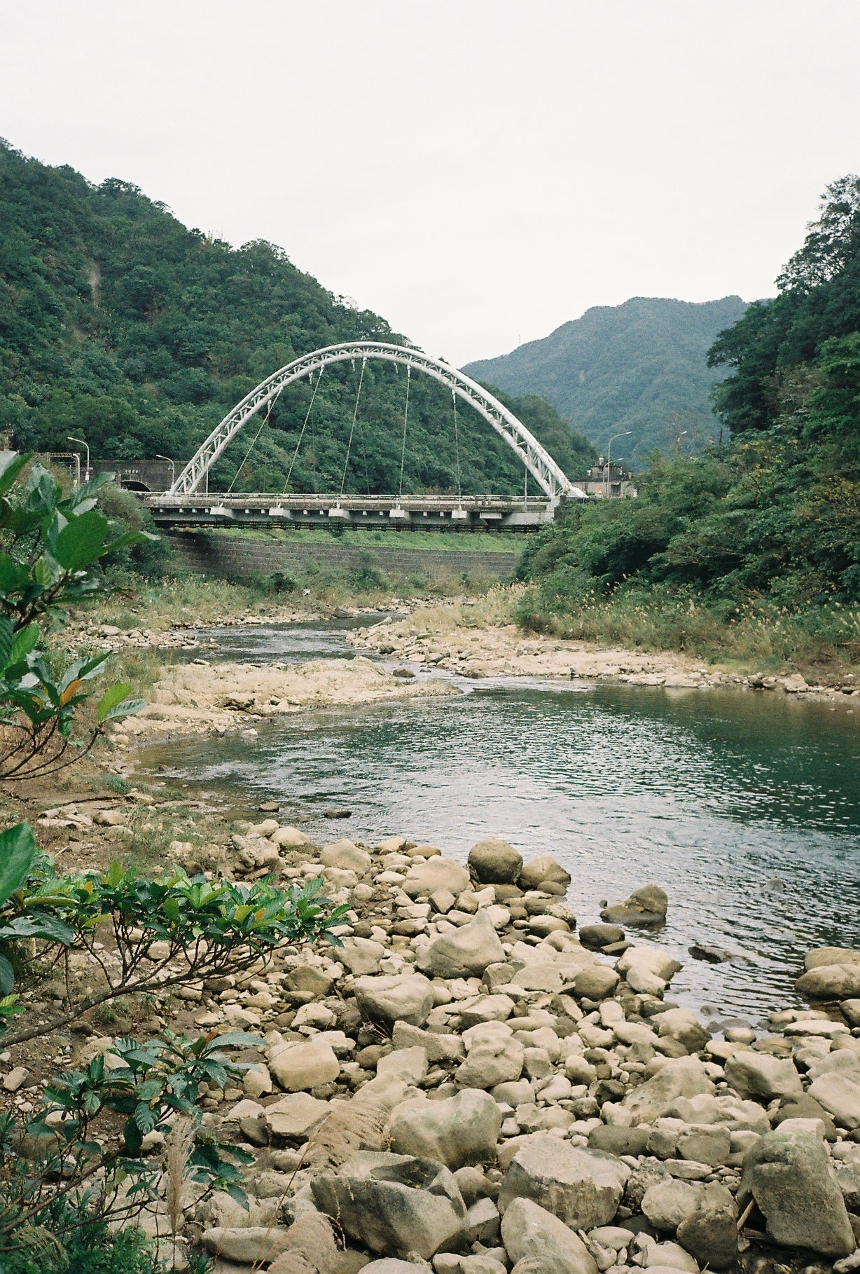 Bruce BON ISO 200 Color 36exp Color Negative Film