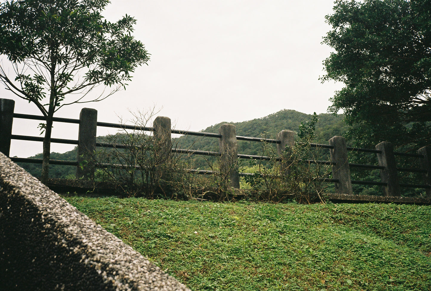 Bruce BON ISO 200 Color 36exp Color Negative Film