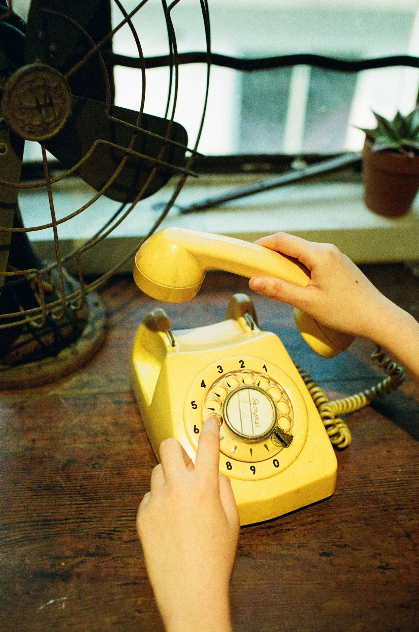 Alien Color Film CN800 Ultimate 36exp 35mm Negative Film