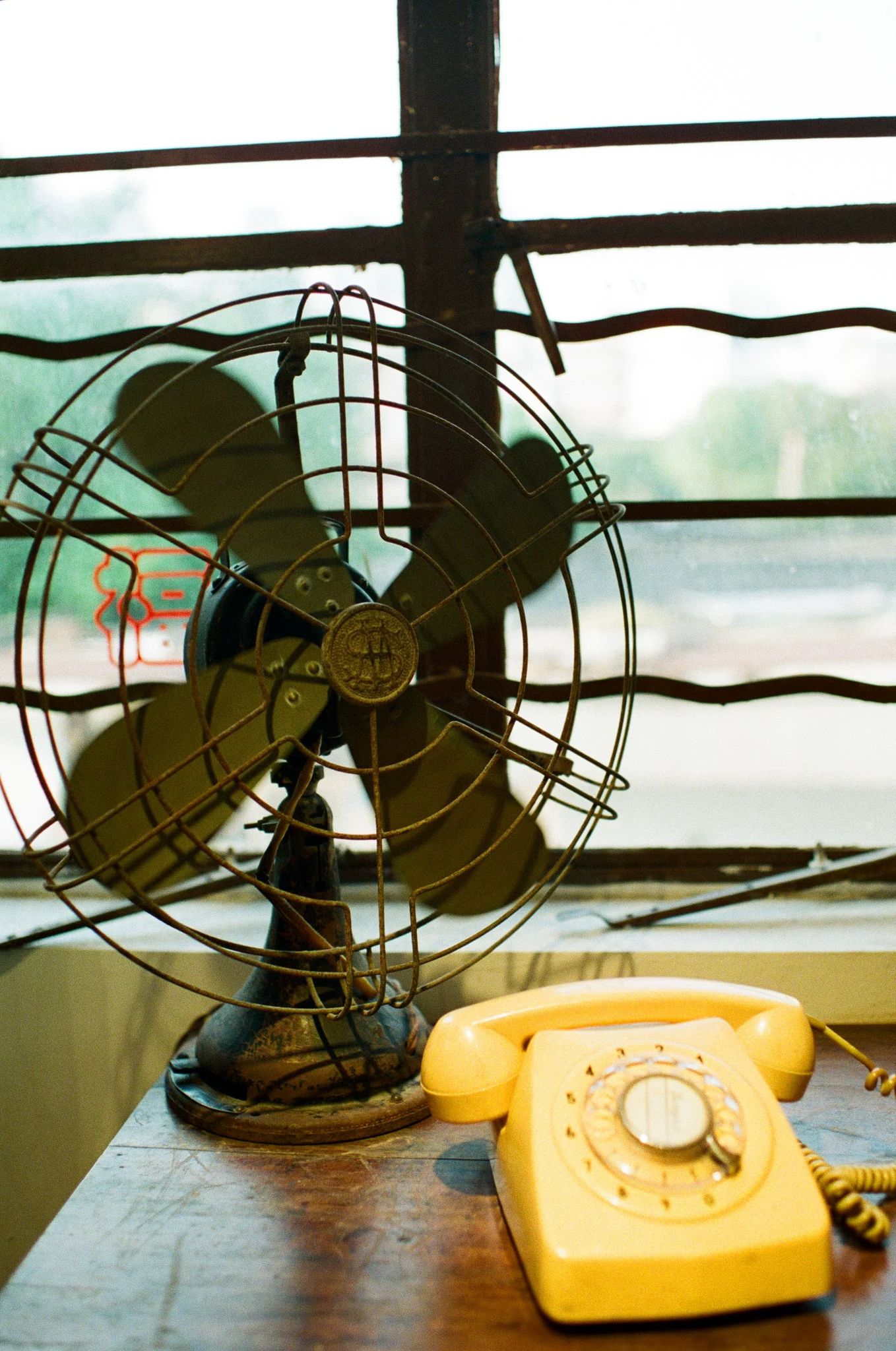 Alien Color Film CN800 Ultimate 36exp 35mm Negative Film