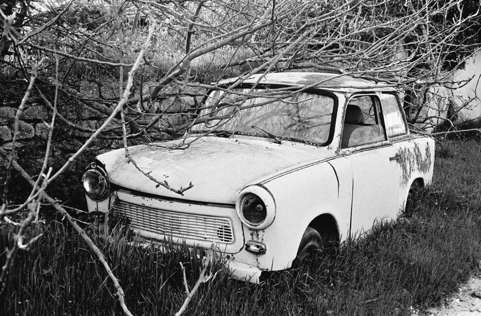 Foma Ortho 400 35mm Black and White Film