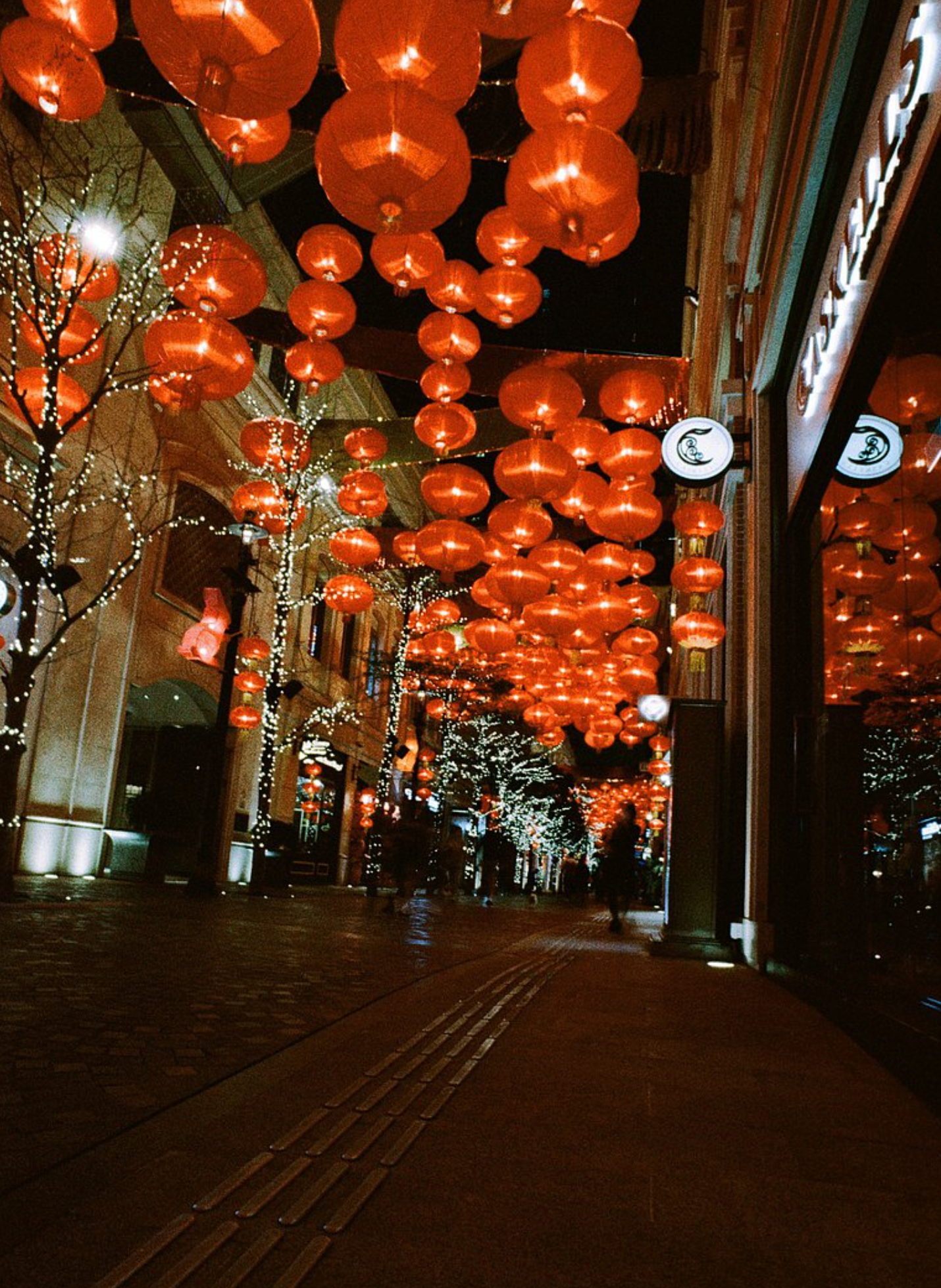 Escura NORDIC 咒術迴戰包裝 400 35mm 30exp Film
