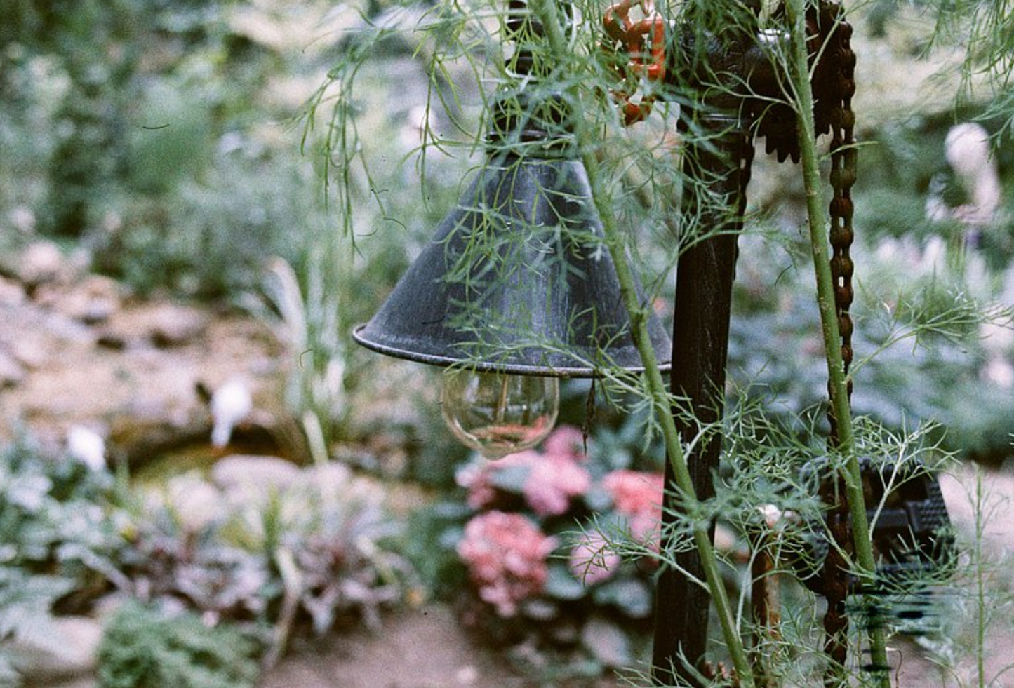 Escura NORDIC 咒術迴戰包裝 400 35mm 30exp Film